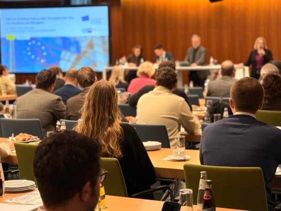 Image alternative description