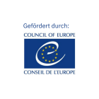 Image alternative description