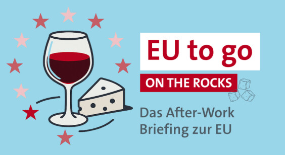 Image alternative description